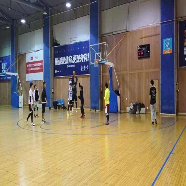 聚焦赛场焦点人物与战术演变深度解析